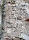 TCS-01.jpg (100052 byte)