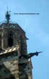 Barcellona,cattedrale-(2).jpg (68584 byte)