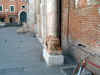 Ferrara-(13).jpg (65385 byte)