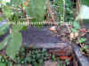 Muretto-triplice-cinta-oves.jpg (51226 byte)