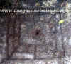 t.c.Cressogno3.jpg (34321 byte)