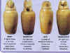 canopi.jpg (26490 byte)