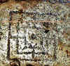 t,c,sov.-02.jpg (63091 byte)
