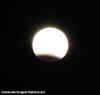 Luna 02.jpg (54428 byte)